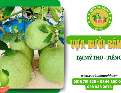 Mười Thu - Vựa bưởi bán lẻ chất lượng, giá tốt tại Mỹ Tho, Tiền Giang
