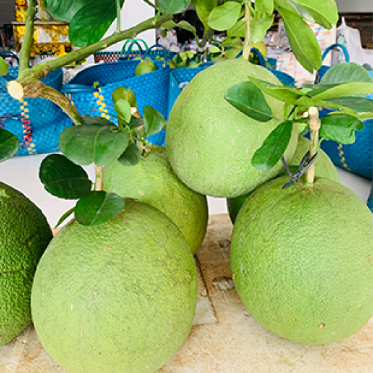 BƯỞI DA XANH LOẠI II