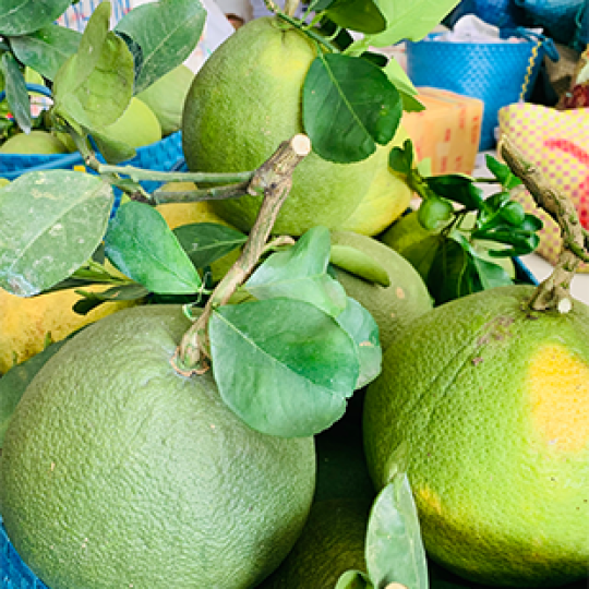 BƯỞI DA XANH LOẠI III