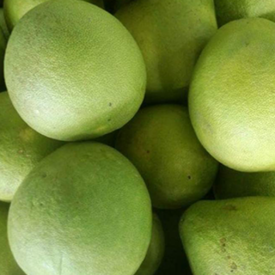 BƯỞI NĂM ROI LOẠI I