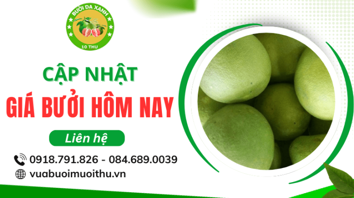 Giá bưởi hôm nay bao nhiêu? Cập nhật mới nhất theo thị trường