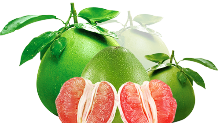 TRỊ SẸO HIỆU QUẢ VỚI BƯỞI