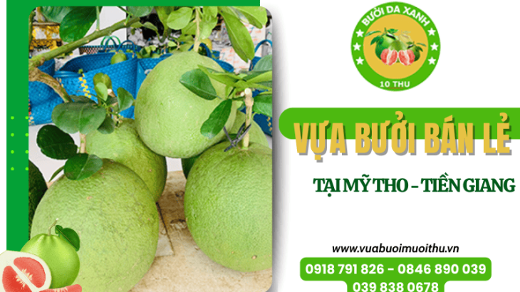 Mười Thu - Vựa bưởi bán lẻ chất lượng, giá tốt tại Mỹ Tho, Tiền Giang