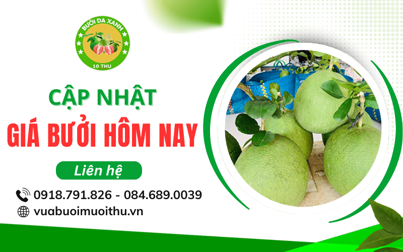 Giá bưởi hôm nay