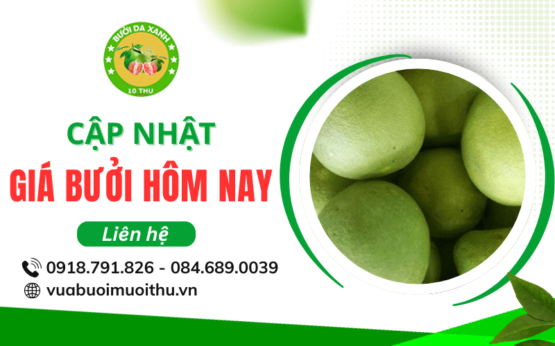 Giá bưởi hôm nay