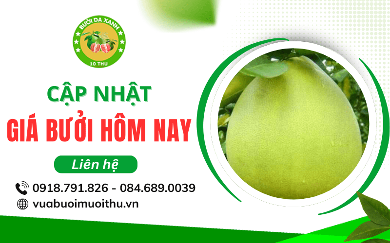 Giá bưởi hôm nay
