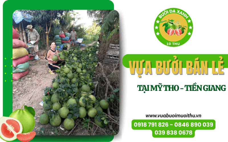 Vựa bưởi bán lẻ tại Mỹ Tho