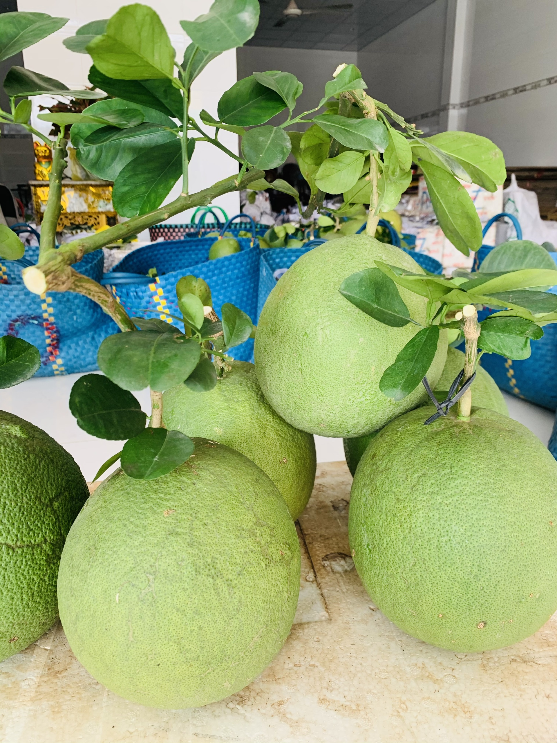 Vựa bưởi Mười Thu